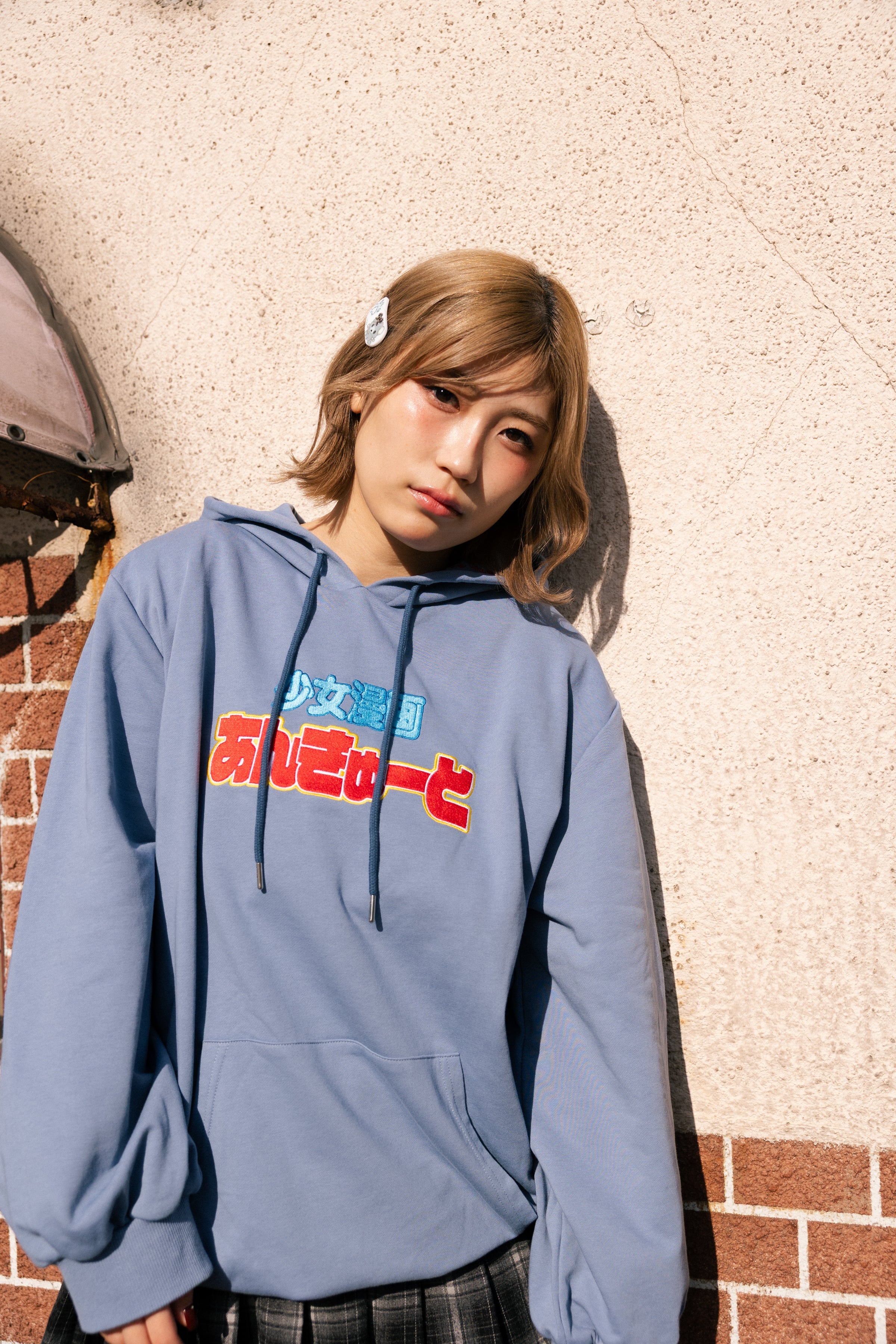 Graphic Embroidery Hoodie – MYONGMYONG