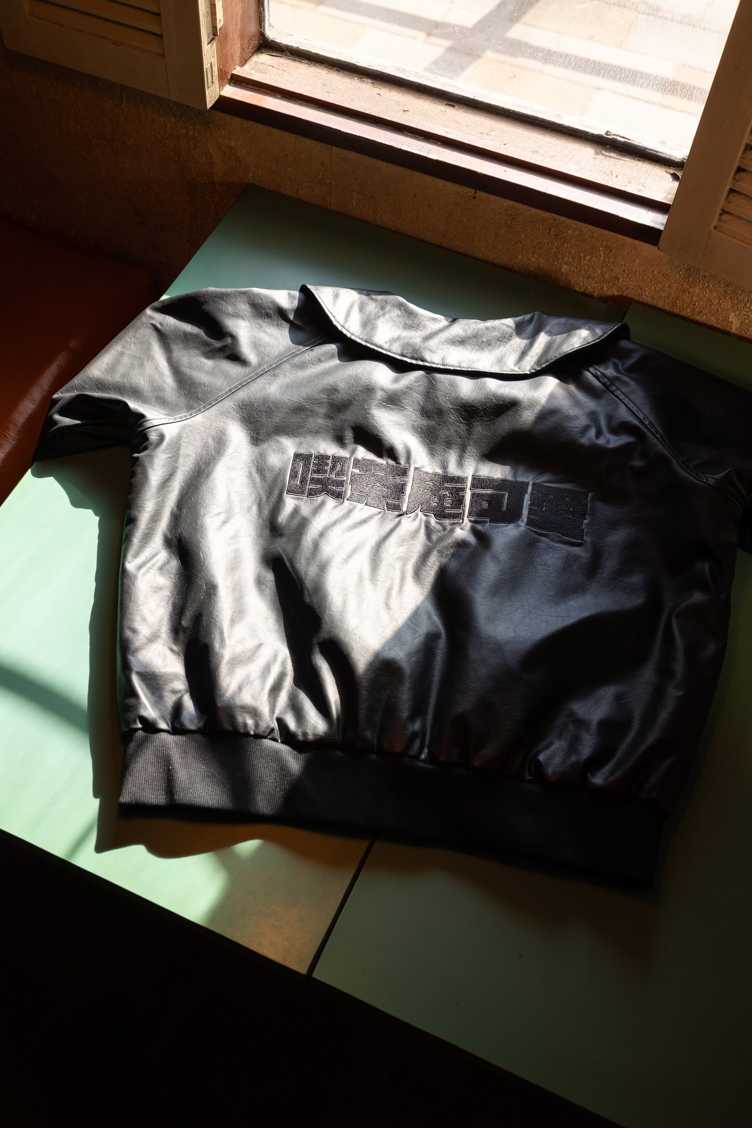 EMBROIDERY FAUX LEATHER BLOUSON